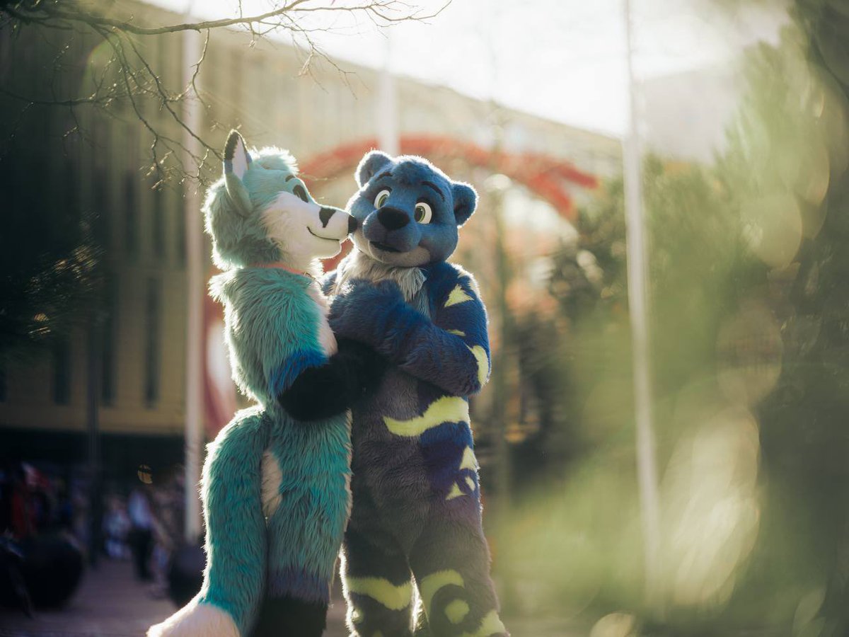 Smooches from a cute fox makes melt 💙🦊💙 <a href="/Blue_Zeph/">Zephy 🦊💙</a> 

📸 <a href="/SyndraFox/">Syndra</a> 

#FursuitFriday