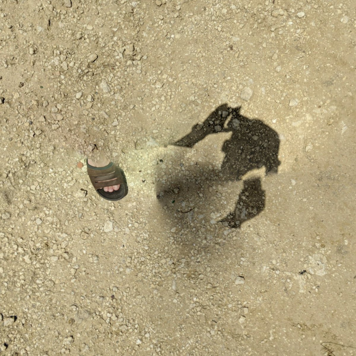 StreetviewFeet's tweet image. GM 🏜️