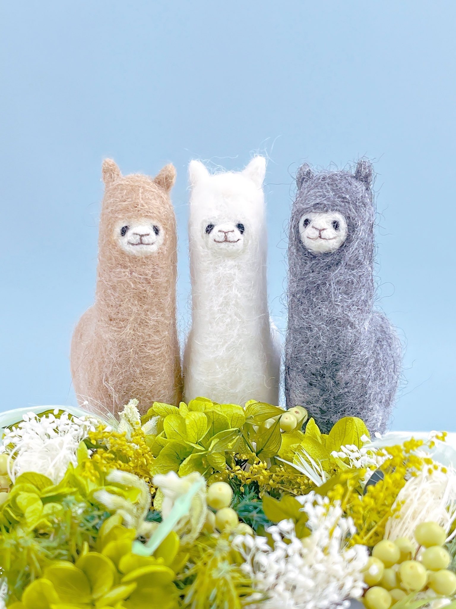 個性的なアルパカ elvang｜アルパカ テディ 20*20 | KONCENT Web shop｜アッシュ