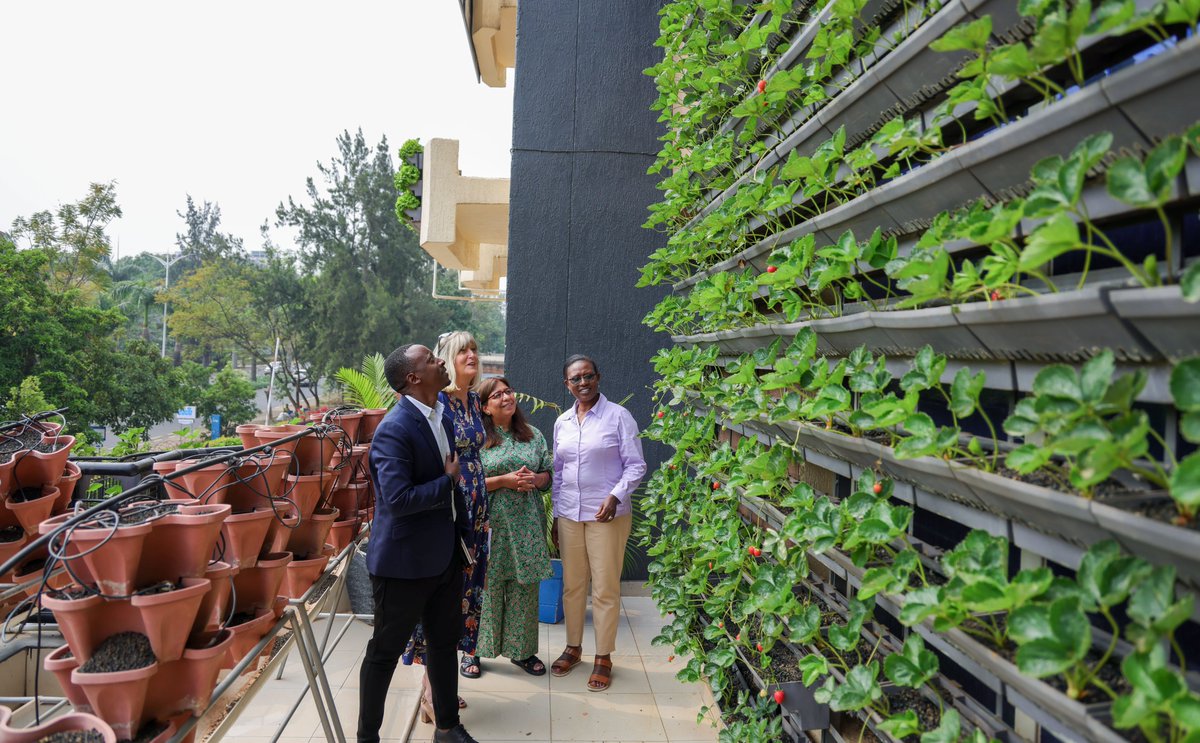 Today, <a href="/FAORwanda/">FAO in Rwanda</a> welcomed <a href="/GAINalliance/">GAIN</a>'s Ms. Michelle Thompson along with Mr. Silver Karumba, the Country Director. 

Their discussion focused on areas of collaborations aligned  with GAIN flagship programme of combating malnutrition through sustainable Food Systems.