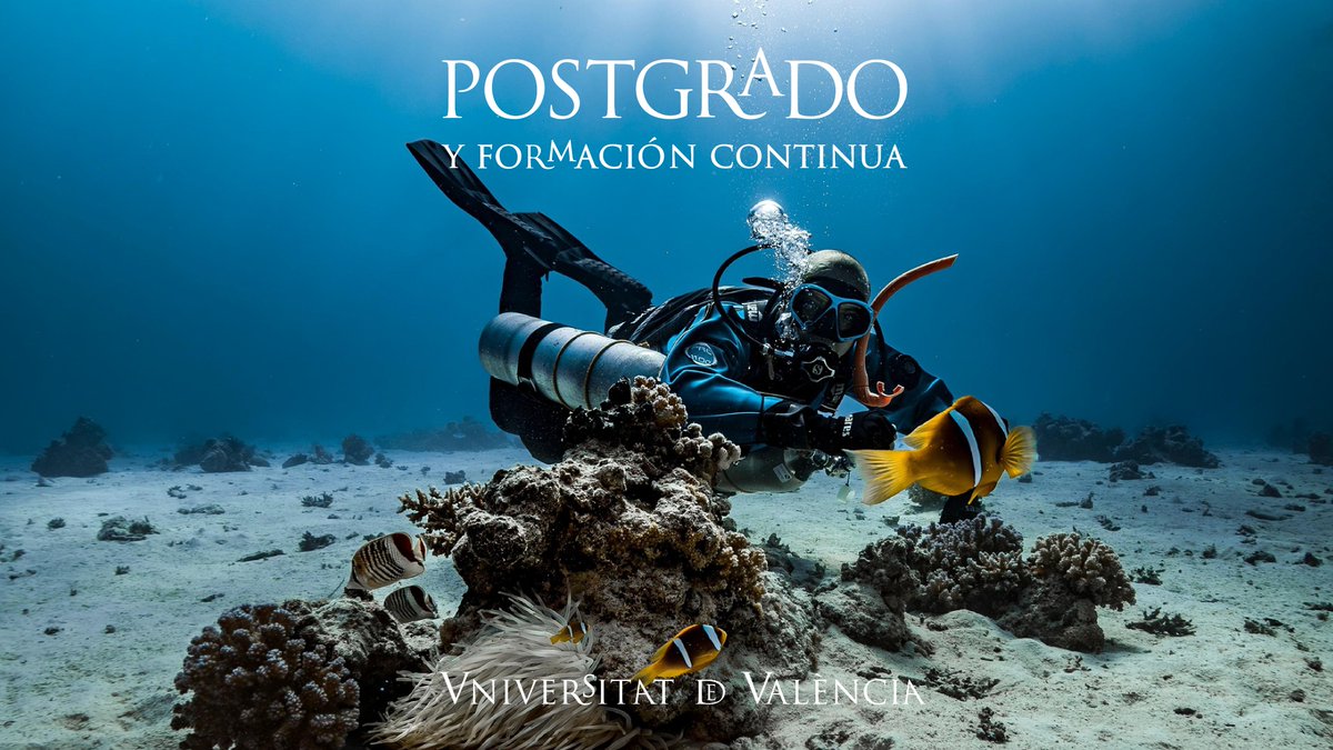 ADEITUV's tweet image. ¿Te interesa la historia y el patrimonio submarino?
Fórmate este verano con la Microcredencial en Arqueología Náutica y Subacuática de la @UV_EG
📍🗓️8–28 sept 2025
⛵Prácticas reales en yacimiento subacuático
🎓Presencial
Una experiencia única.
👉 postgrado.adeituv.es/arqueologia-na…