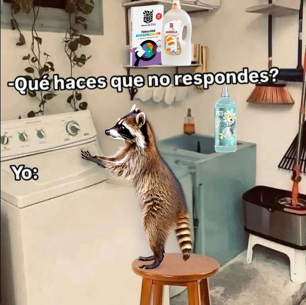 DIA_Esp's tweet image. Domingo de: