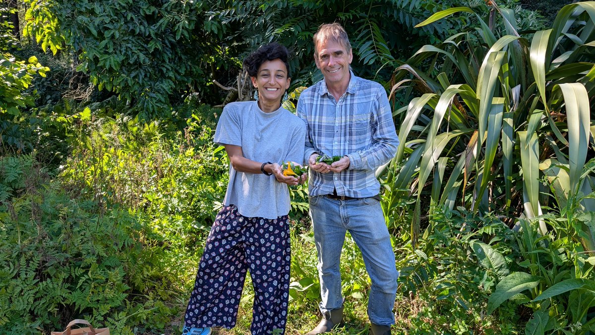 The Food Programme (@bbcfoodprog) on Twitter photo Ever been to a food forest? What a joy to meet Martin Crawford for this week's episode of @bbcfoodprog with <a href="/leylakazim/">Leyla Kazim</a> who showed us around his in Devon. It was full of delicious and surprising edible treats! Listen again here bbc.co.uk/programmes/m00… 📻🌳🍎 Ever been to a food forest? What a joy to meet Martin Crawford for this week's episode of @bbcfoodprog with <a href="/leylakazim/">Leyla Kazim</a> who showed us around his in Devon. It was full of delicious and surprising edible treats! Listen again here bbc.co.uk/programmes/m00… 📻🌳🍎