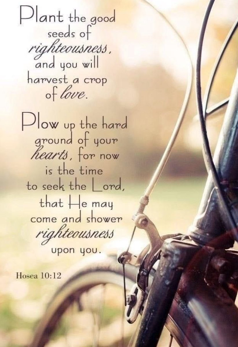ohnochip's tweet image. Good Morning Family,
Y鈥檃ll have a productive and blessed day in the Lord 馃檹馃徎馃檶馃徎鈽曪笍鉁濓笍
#PrayHard