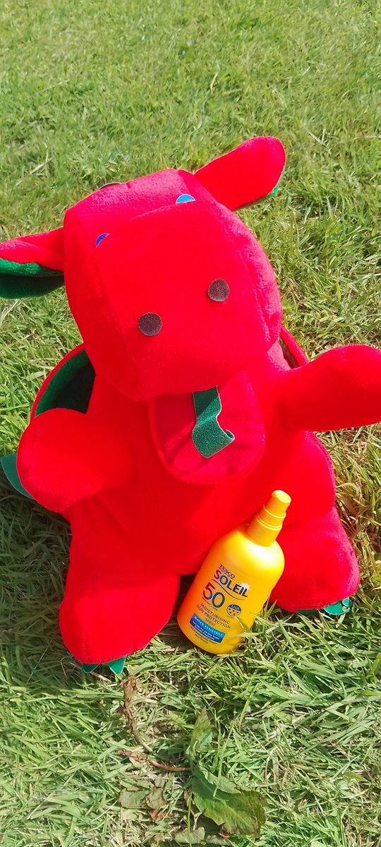 This little chap has been making use of the sun cream this week! The weather has been fantastic!!!!! 🔥🔥🔥