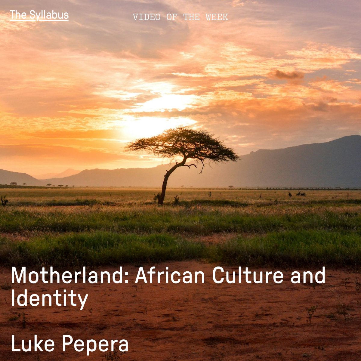 syllabus_tweets's tweet image. Journeying from deep human origins to the medieval empires of Mali and Ndongo, our video of the week aims to reclaim a usable past for contemporary African and diasporic identities.
Feat. @lukepepera at @YorkFestofIdeas
buff.ly/LAEQULc
