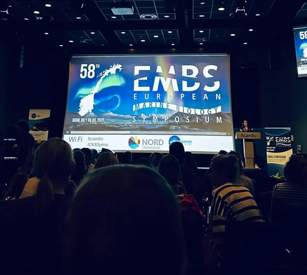 ECOAQUA (@ecoaqua_ulpgc) on Twitter photo 🎓🌊L@s investigador@s <a href="/Inma__Herrera/">Inma Herrera</a> y Jesús Padrón muestran la excelencia científica de ECOAQUA con estudios sobre la 🔝biodiversidad de #Guguy 🐳🐬, candidata a Parque Nacional, en el prestigioso <a href="/EMBSsymposium/">EMBS @embssymposium.bsky.social</a> (#Bodo, Noruega)
<a href="/MarineSABRES/">Marine SABRES Project</a>
Más info👇
ecoaqua.eu/es/blog/ecoaqu… 🎓🌊L@s investigador@s <a href="/Inma__Herrera/">Inma Herrera</a> y Jesús Padrón muestran la excelencia científica de ECOAQUA con estudios sobre la 🔝biodiversidad de #Guguy 🐳🐬, candidata a Parque Nacional, en el prestigioso <a href="/EMBSsymposium/">EMBS @embssymposium.bsky.social</a> (#Bodo, Noruega)
<a href="/MarineSABRES/">Marine SABRES Project</a>
Más info👇
ecoaqua.eu/es/blog/ecoaqu…