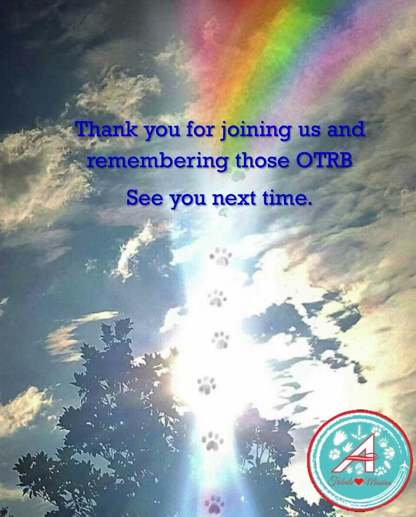 Flight Leader - A huge thank you to all flyers and guests joining in with #TheAviators tribute today. You are amazing. OVR