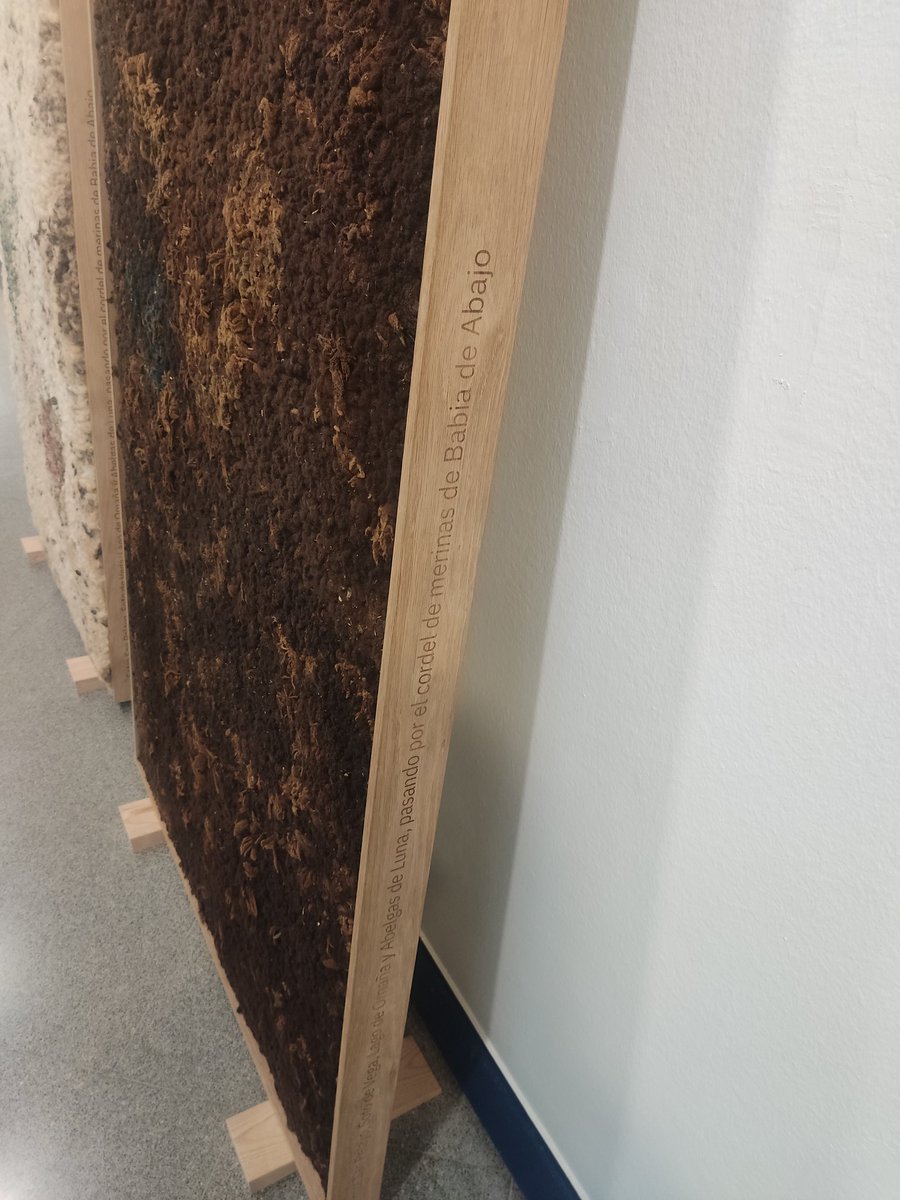 hcost's tweet image. Un lujo el trabajo desarrollado por Susana Cámara @EcologiasLupulo sobre Riqueza, vicio y letargo. Investigación, producción y exposición rigurosas y con conocimiento del territorio. Otra mirada necesaria y transformadora #palencia #fundacióndiazcaneja #lúpulo #trashumancia