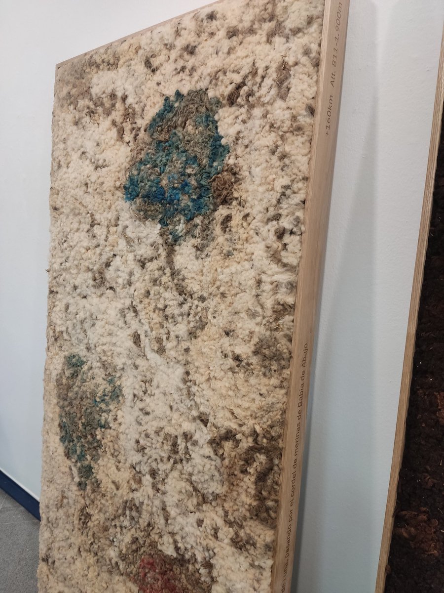 hcost's tweet image. Un lujo el trabajo desarrollado por Susana Cámara @EcologiasLupulo sobre Riqueza, vicio y letargo. Investigación, producción y exposición rigurosas y con conocimiento del territorio. Otra mirada necesaria y transformadora #palencia #fundacióndiazcaneja #lúpulo #trashumancia