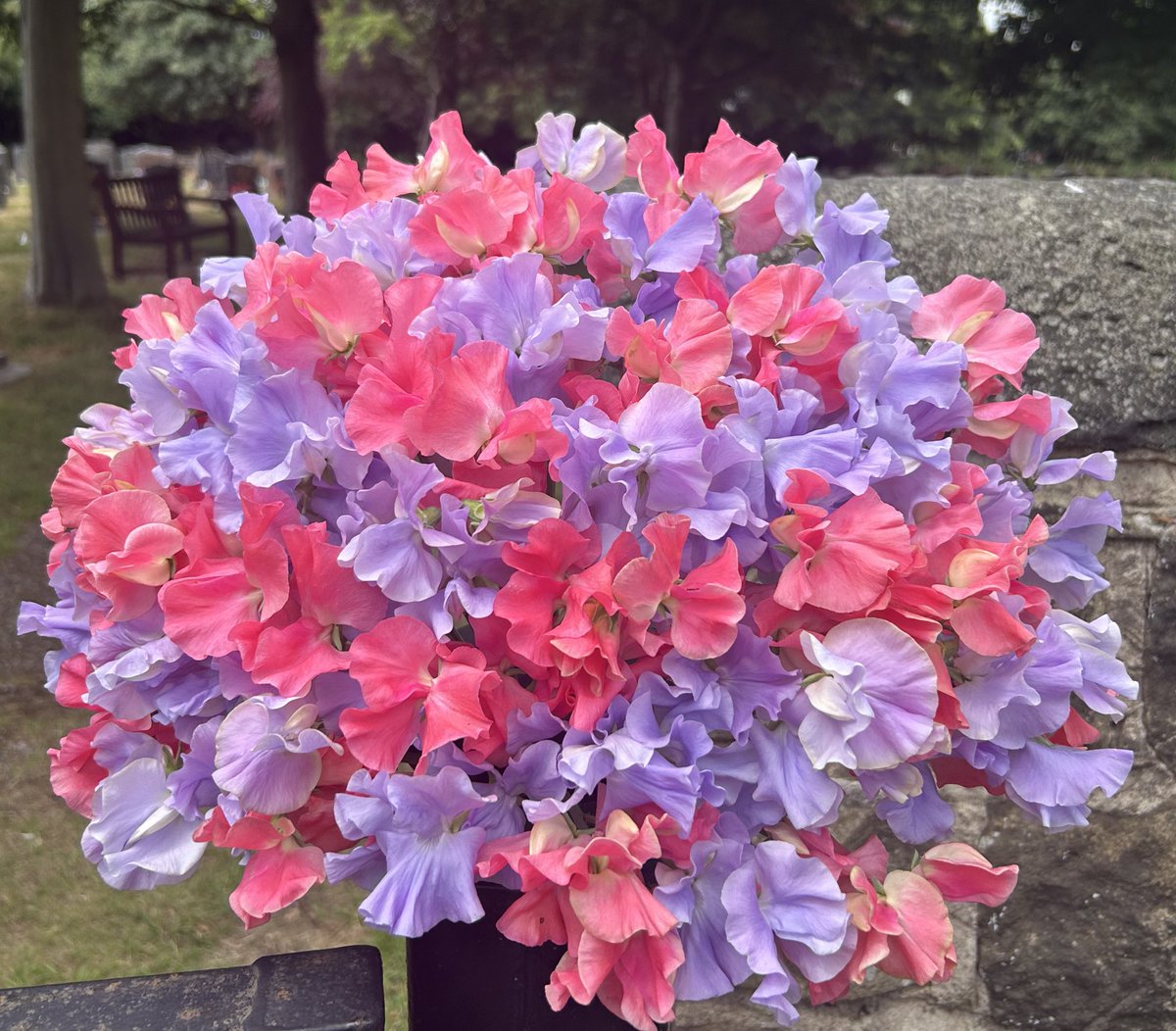 Darren Myers tweet media