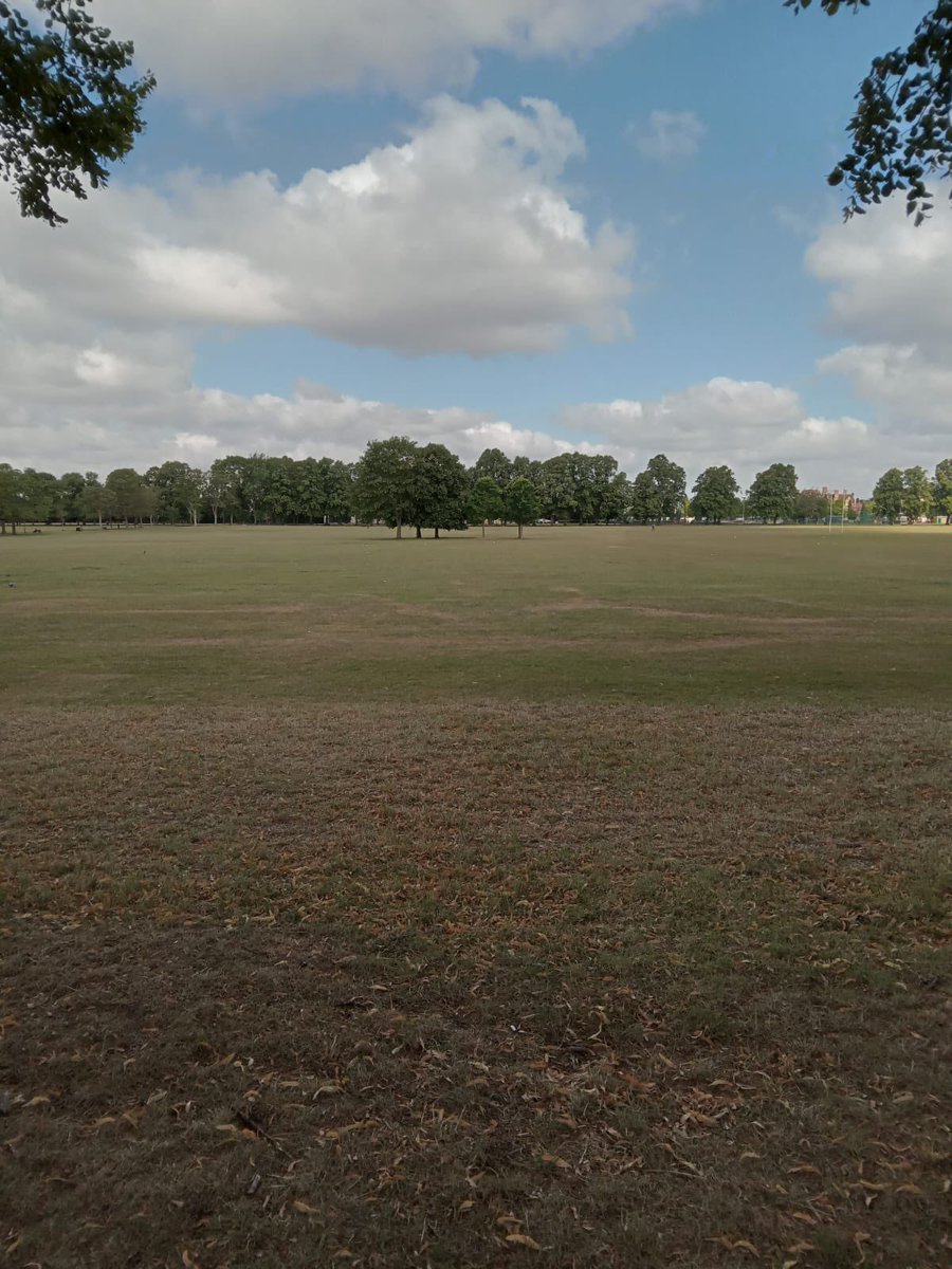 “The whole world is a series of miracles, but we're so used to them we call them ordinary things.” 

- Hans Christian Andersen