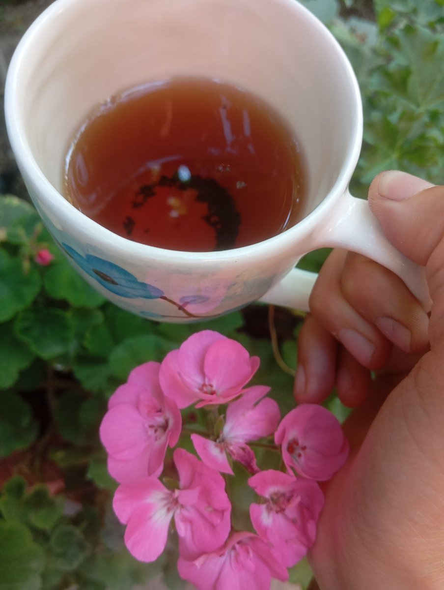 snknm435785's tweet image. تو این هوای گرم فقط فقط چایی میچسبه؟)))......
نه بستنی و تنقلات.....