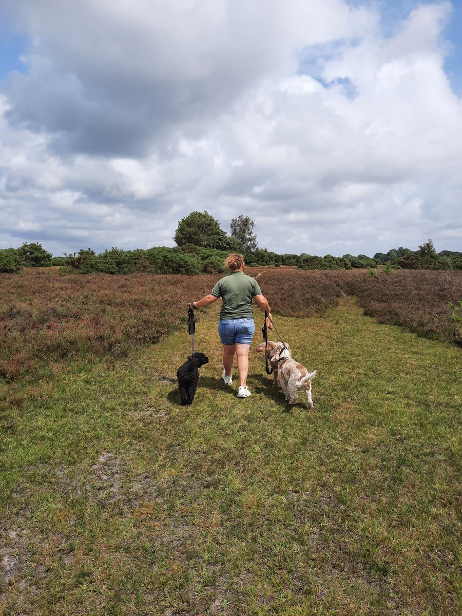 Thank you to the professional dog walker at Sophie's Pet Care who stopped for a chat with our ranger Naomi recently. 

She keeps her dogs under close control, sticks to the marked tracks to protect ground nesting birds, picks up the dogs' poo and disposes of it responsibly too.