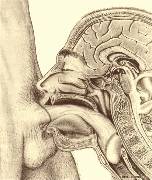 RT&amp;FW 

Your aim as an owned hole👇🏻