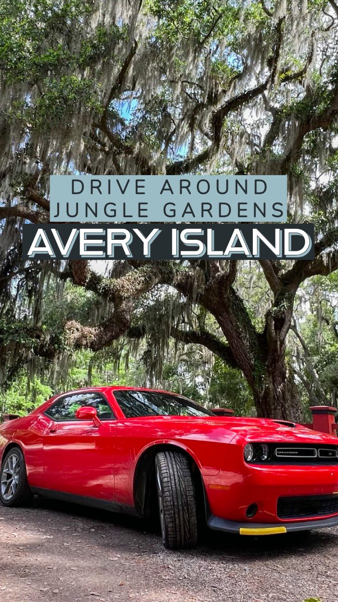 IntrepidEscape's tweet image. My top 10 MUST DO’S in LOUISIANA!! 🇺🇸

5. Drive around Jungle Gardens (Avery Island)

#OnlyLouisiana #MyLouisiana Ad