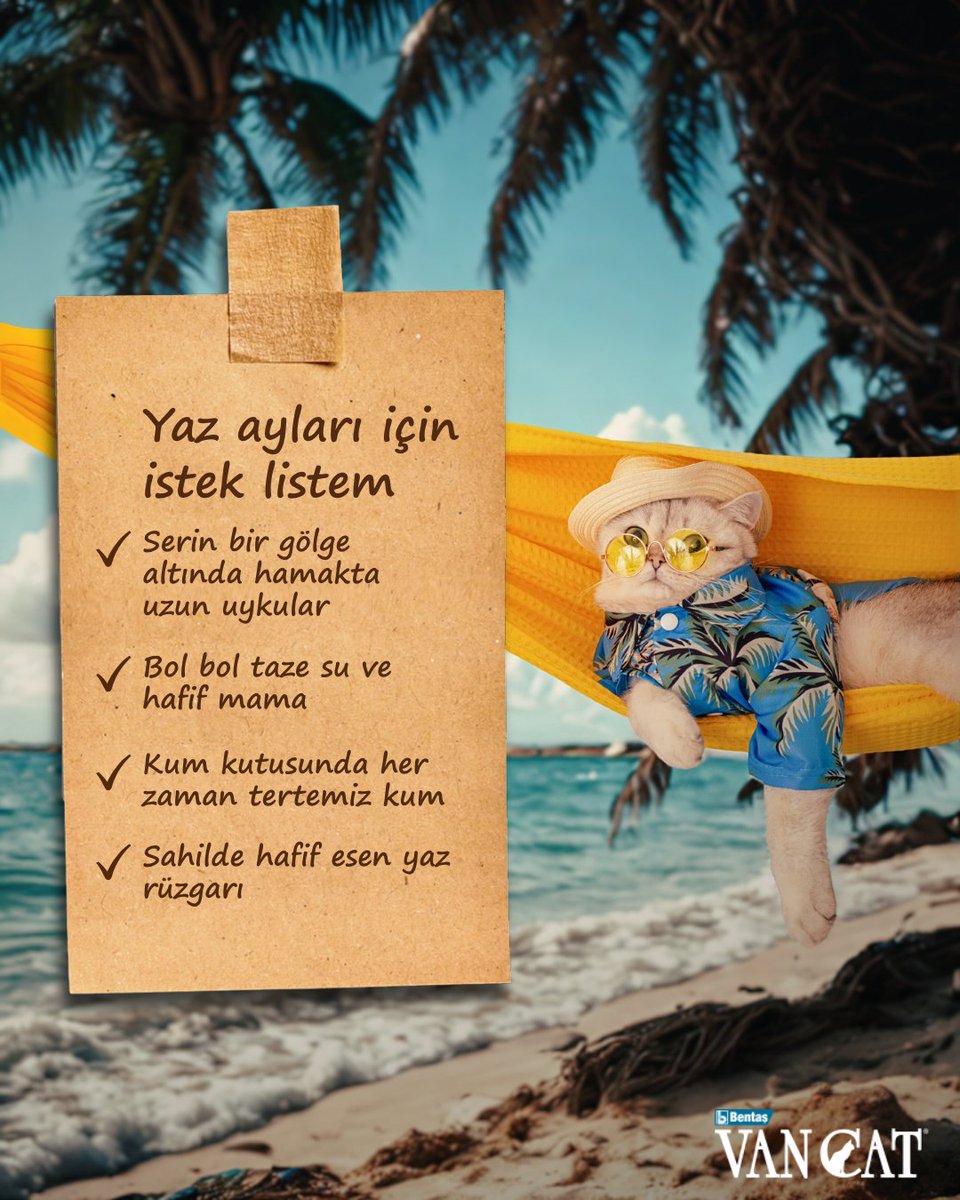 #Kedi onaylı #yaz ayı istek listesi geldi! 🌞😻