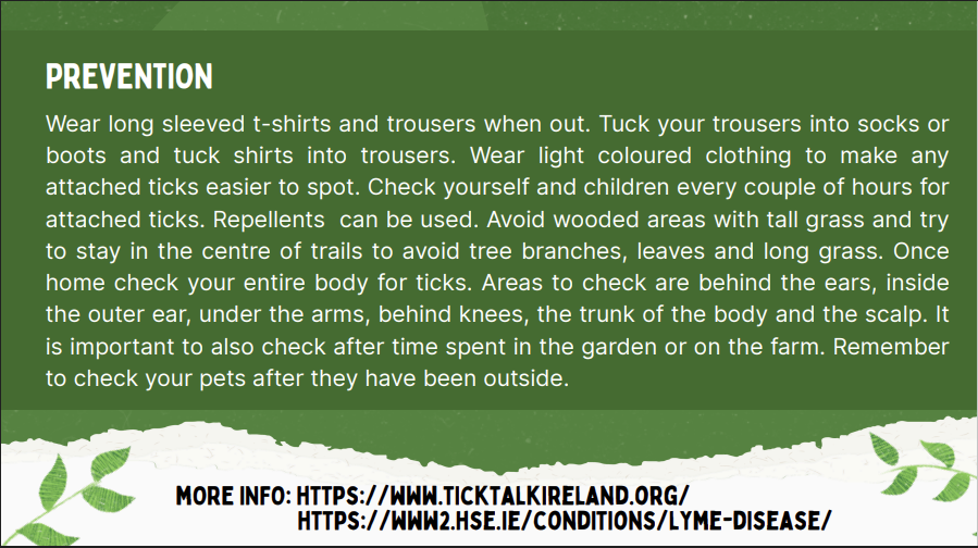 Westmeath County Council (@westmeathcoco) on Twitter photo It's the time of year to talk about ticks  With the humid muggy weather, ticks are out in force in wooded and grassy areas 🌳  Ticks can spread Lyme Disease with symptoms ranging from flu-like illnesses and joint pains to cardiac problems and bladder irritation.
To prevent tick It's the time of year to talk about ticks  With the humid muggy weather, ticks are out in force in wooded and grassy areas 🌳  Ticks can spread Lyme Disease with symptoms ranging from flu-like illnesses and joint pains to cardiac problems and bladder irritation.
To prevent tick