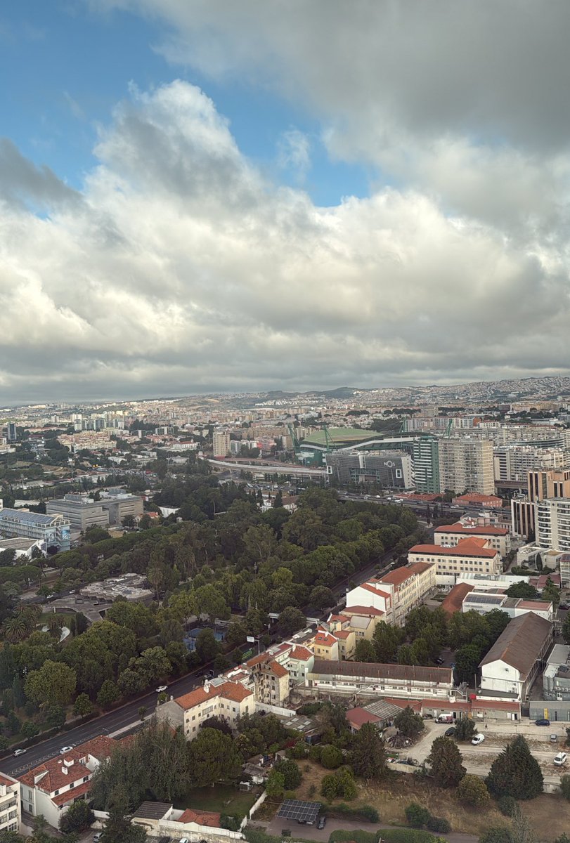 MFFL NATION tweet media