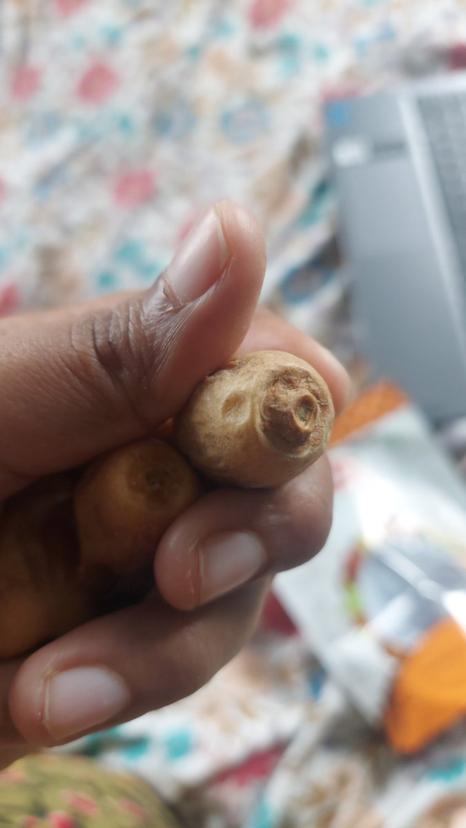 VidyaManikkam's tweet photo. Order id;211392227260705
It's completely waste of money
Can you please replace the item ? With food quality? @Swiggy @SwiggyCares #worst #badquality https://t.co/BtDrvYqUHg