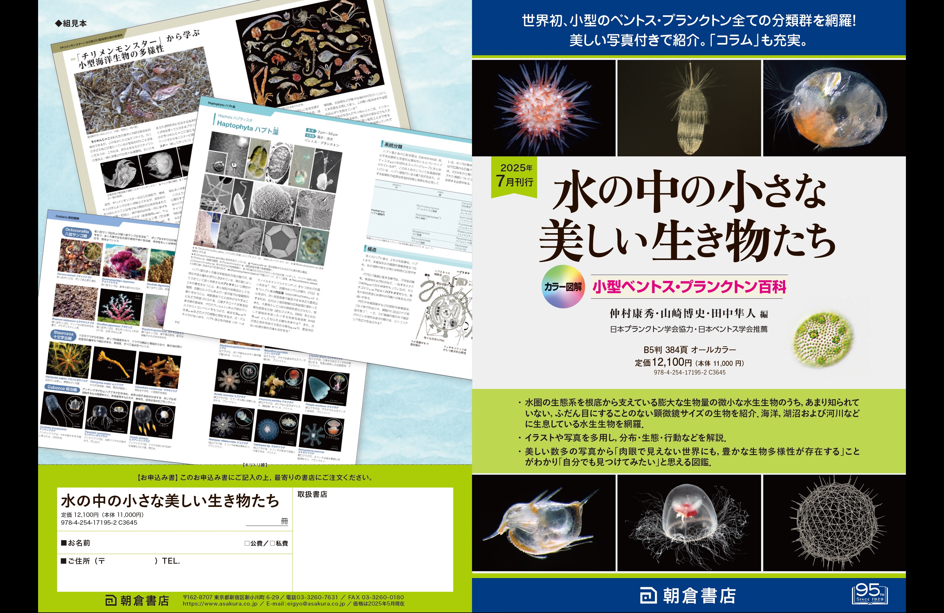 化合物の辞典　普及版　朝倉書店 化合物の辞典 （普及版）｜朝倉書店