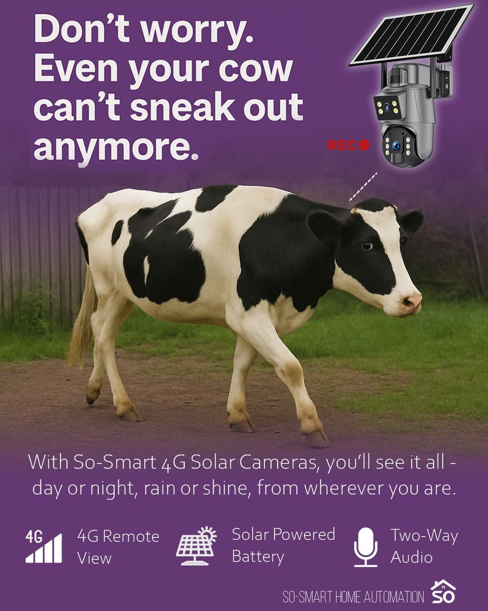 SoSmartHome's tweet photo. When even the cows know you’re not watching... 🐄💨
Don’t let anything slip past you — not even a midnight moo-drift!
With So-Smart Solar Cameras, you’re covered from barn to backyard 📹🐾

Get smarter. Get So-Smart. ☀️🔒 https://t.co/aVeIEEkBal