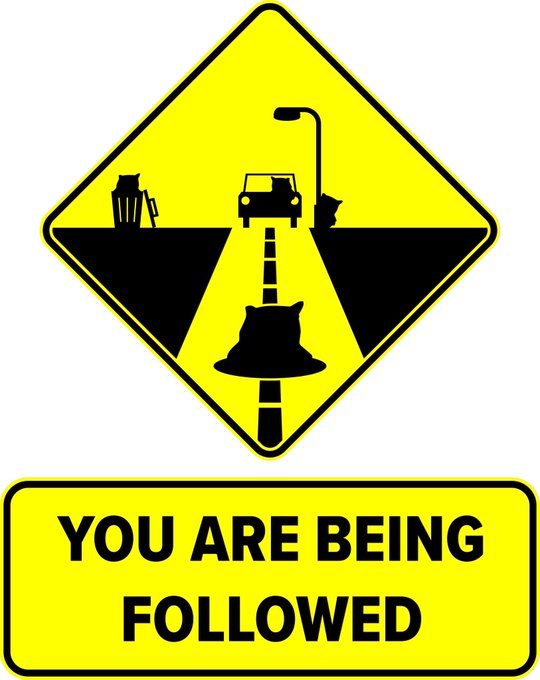FMWalter1's tweet image. Good Friday morning fellas and fellarinas!!! You know what to do today, keep us fellas gathered together!! Any news about those patriot systems?? Slava Ukraini!!