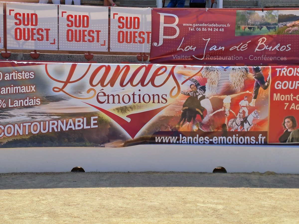 Nathalie ( tom cruise love ) ❤❤ (@nathalielamoth8) on Twitter photo Venez nombreux spectateurs landes émotion #taurine #montdemarsan 7 aout 2025 #areneduplamacon <a href="/MontdeMarsan/">Mont de Marsan</a> Venez nombreux spectateurs landes émotion #taurine #montdemarsan 7 aout 2025 #areneduplamacon <a href="/MontdeMarsan/">Mont de Marsan</a>