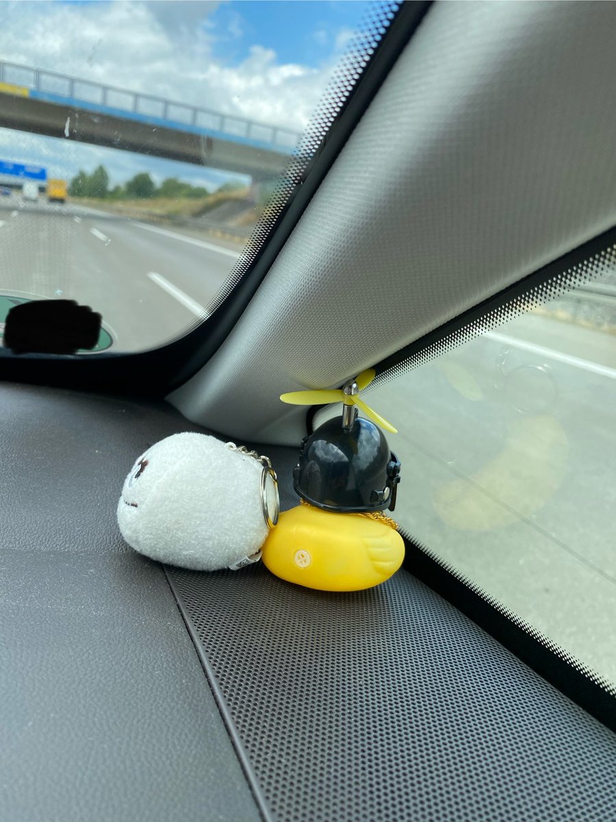 Azetbur's tweet photo. #klausDerKloß und #entchen düsen los. Flatter flatter flapp flapp. #endlichwiedernormaleleute https://t.co/tZlcL0QjKE