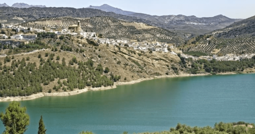 CuadernoAgrario's tweet photo. 💧@FeraguaRegantes : A la espera de la propuesta del @mitecogob sobre #BreñaII y #Arenoso 

+INFO➡️https://t.co/YoWsaHiI3P https://t.co/AnGUv0NiuY