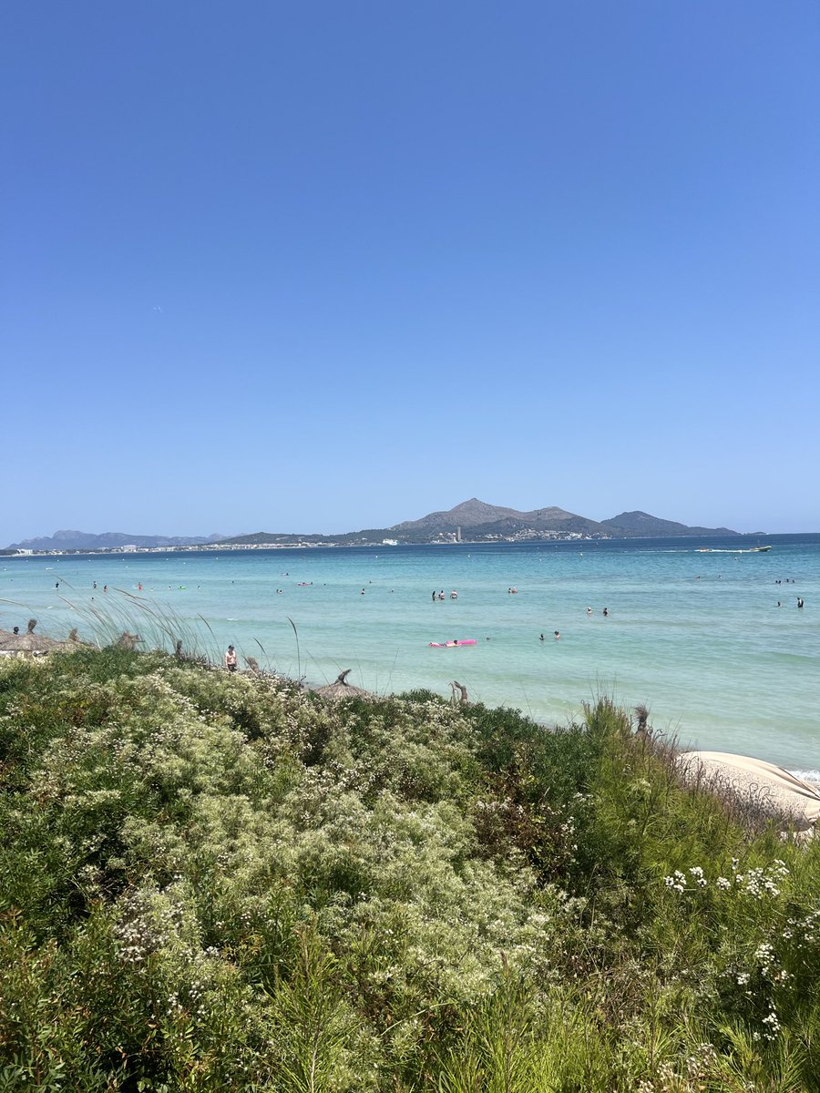 xDefiRage's tweet image. ⚡️ Always vibing with my @PepeToken_0xBE fam, even while I'm out playing!
⚡️ No excuses, just good vibes.
⚡️ Any guesses where I'm chilling rn? 👀
#WorkHardPlayHarder
#NoExcuses