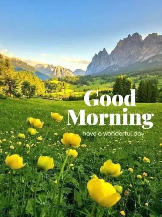 joanie_tweet's tweet image. Good Friday Morning! ☀️
Let Go of Any Mistakes You Might Have Made Yesterday.
Just Move on and Do Your Best Today. Mistakes are Proof You are Trying. Correcting Them is Proof You are Growing. 😊❤️🤗
#LetGo #Mistakes #MoveOn
#Grow #FridayVibes #FridayFeeling #FridayMotivation