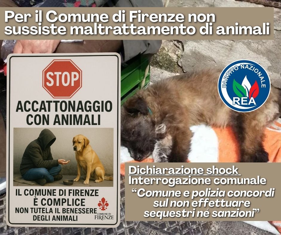 #18luglio Scandalo accattonaggio con #animali: la Giunta di #Firenze ignora il maltrattamento rivoluzionecoanimalista.it/2025/07/18/sca…
