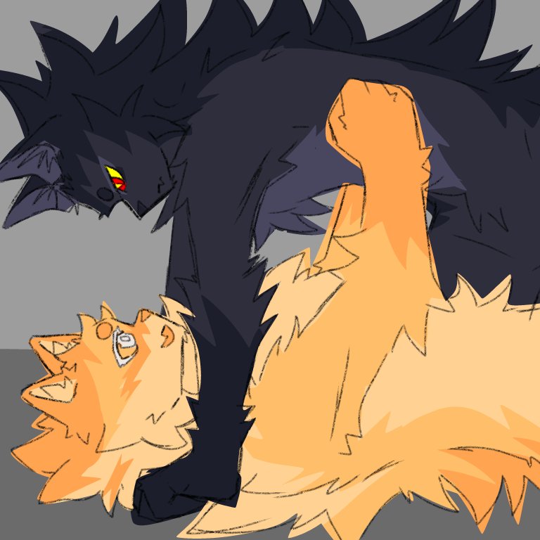 PantherMyBloved's tweet image. theyre fightung to death, catte doesnr jnow it yet