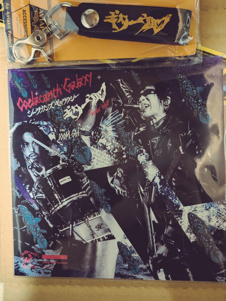 aruite5hun's tweet photo. ギターウルフ🎸⚡️🐺⚡️
シーラカンスギャラクシー
届きましたーーー!!
自分へのプレゼント🙌
うーれしーーい!!!
#ギターウルフ
#GuitarWolf
#CoelacanceGyalaxy
#TIMEBOMBRECORDS https://t.co/xPB2AIuKDO