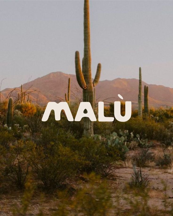 pietrobaudin's tweet image. 1 - Cookie Supply 
dafont.com/cookie-supply.…

2 - Wooddale 
whatfontis.com/Wooddale-Regul…

3 - Gacor 
font.download/font/gacor-per…

4 - Waldorf 
font.download/search/waldorf