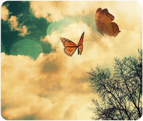 Anima mia che metti le ali
e sei un bruco possente
ti fa meno male l’oblio
che questo cerchio di velo.
E se diventi farfalla
nessuno pensa più
a ciò che è stato
quando strisciavi per terra
e non volevi le ali.

Alda Merini

#VogliaDiCambiare
#SalaLettura