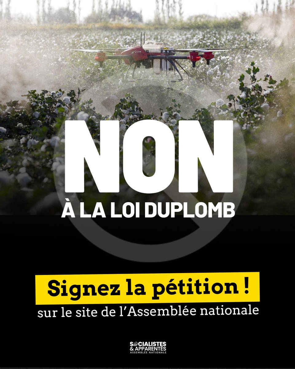 Députés Socialistes et apparentés (@socialistesan) on Twitter photo ❌ Non à la #LoiDuplomb !
Signez et faites signer la pétition contre cette loi dangereuse pour la santé humaine et environnementale → petitions.assemblee-nationale.fr/initiatives/i-…
Parallèlement, nous avons déposé un recours au Conseil constitutionnel pour qu’elle soit censurée. Le combat continue ! ❌ Non à la #LoiDuplomb !
Signez et faites signer la pétition contre cette loi dangereuse pour la santé humaine et environnementale → petitions.assemblee-nationale.fr/initiatives/i-…
Parallèlement, nous avons déposé un recours au Conseil constitutionnel pour qu’elle soit censurée. Le combat continue !