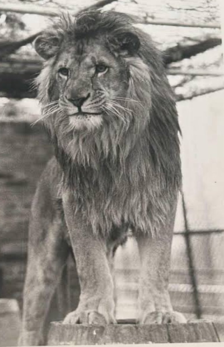 🐝🧬⌛️ #XU050