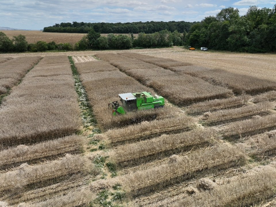 Olivier Mangenot Terres Inovia tweet media