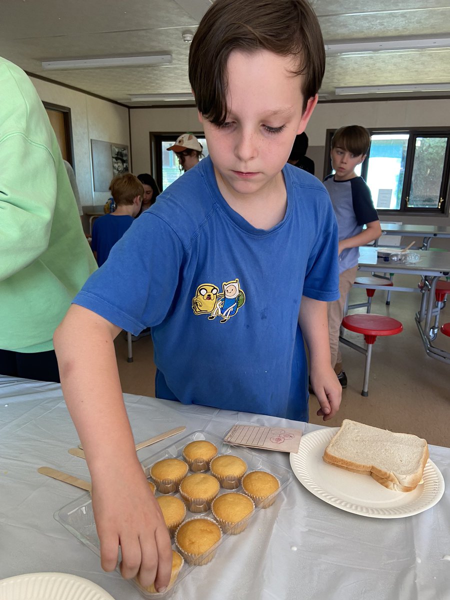 King David Primary School tweet media