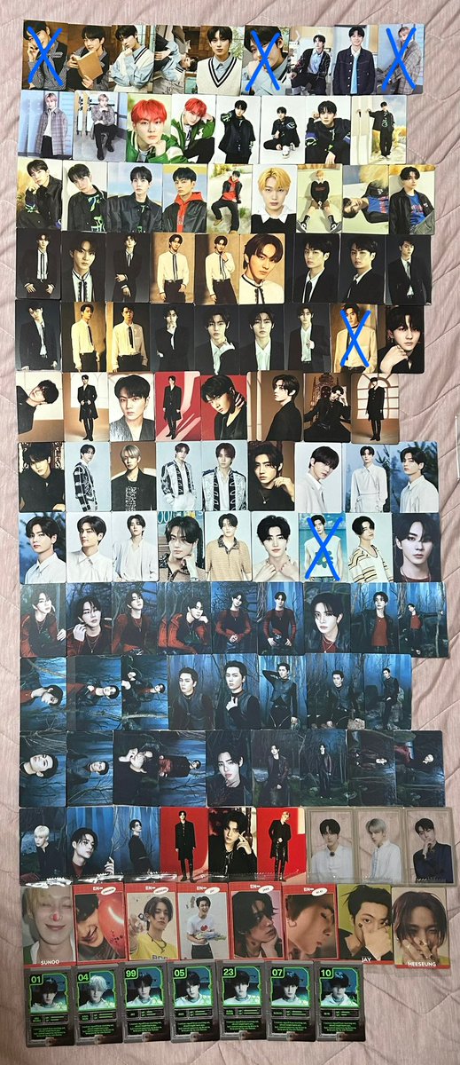 Daoye🐈🦌🦅🦮🐧🦊🐥 tweet media