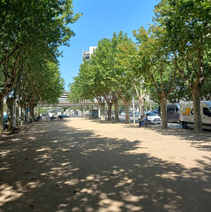 📜 Girona vol que la plaça Poeta Marquina recuperi el nom històric de plaça del Carril per motius de memòria històrica. 

🚃 La plaça s’anomena “del Carril” des de l’arribada del ferrocarril a la ciutat l’any 1862.

🗣️🗳️ Al setembre es faran dues sessions informatives i votació