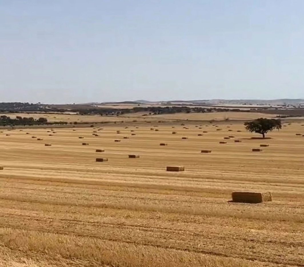 Esta mañana temprano, yo ya sabía que hoy me cojia la caló..
