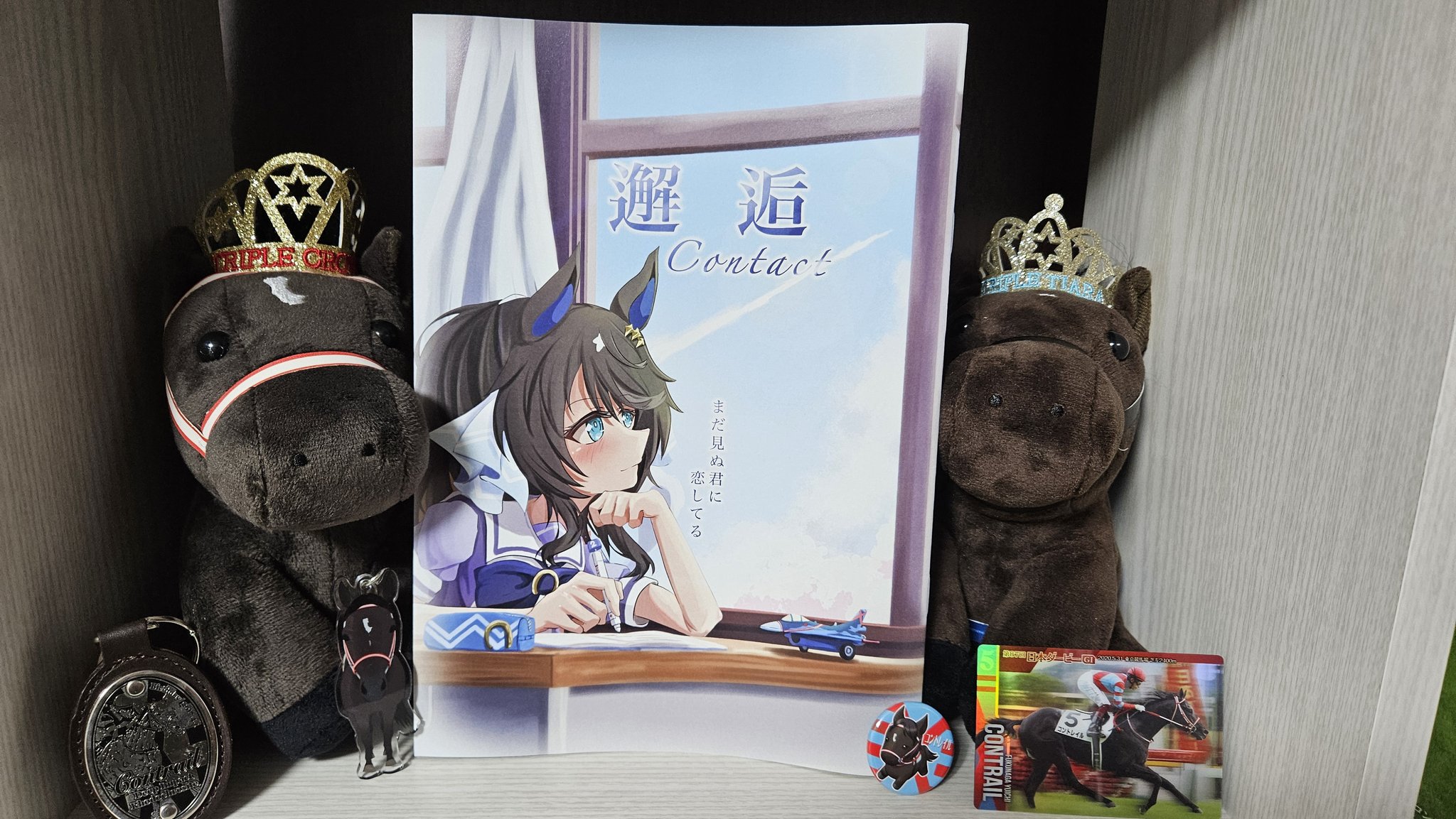 国鉄　愛称版　新雪　上野↔︎石打　レアレトロ 国鉄 愛称版 新雪 上野、石打 レアレトロ