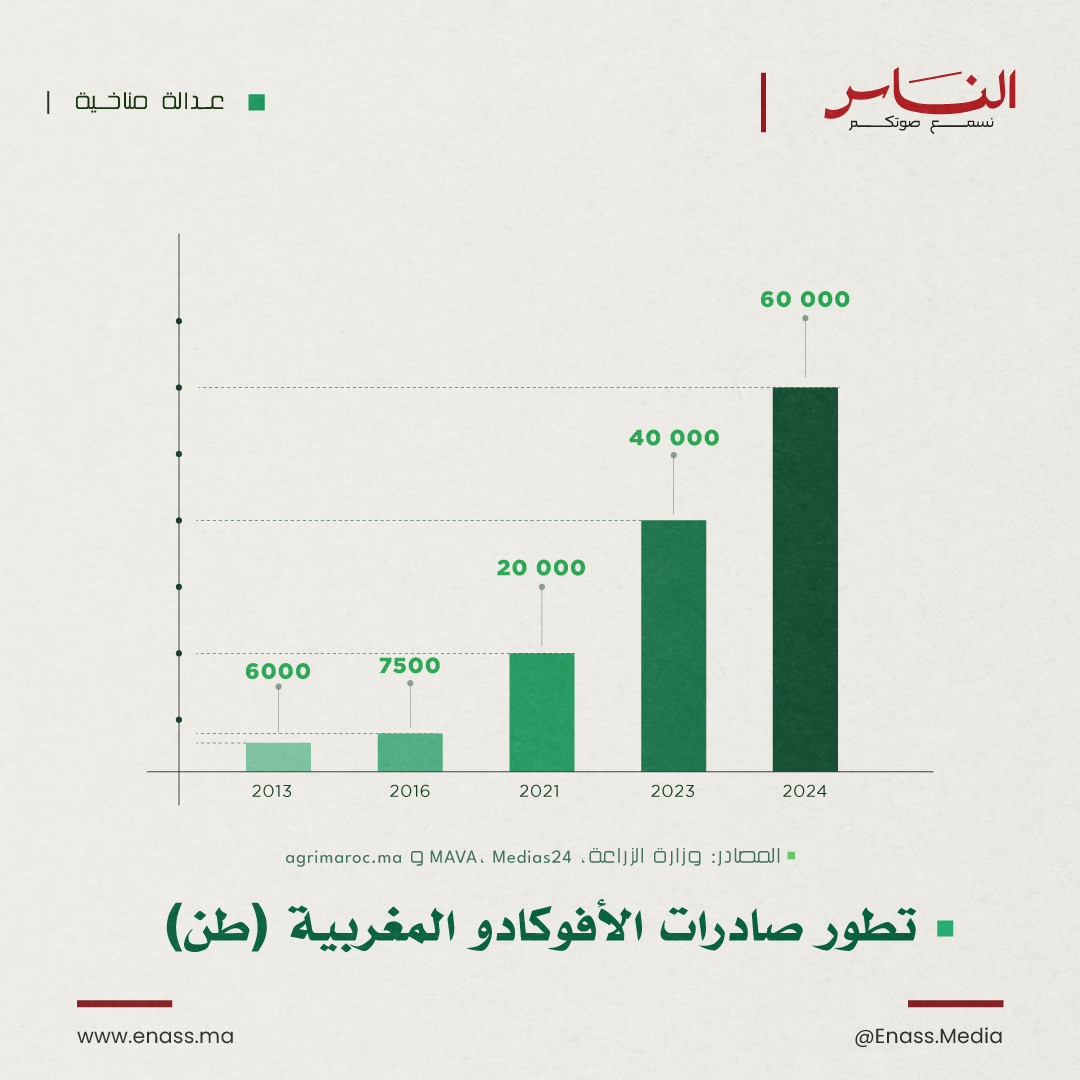 EnassMedia's tweet image. [#تبيان] تطور صادرات الافوكادو المغربية  🥑 📈

#الناس #المغرب #أخبار #بالعربي #افوكادو #الماء #بيئة