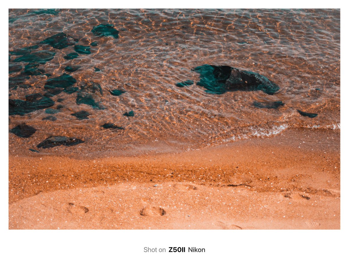 ahuropanda_VRC's tweet image. 透き通ってる
#Z50II #私とニコンで見た世界