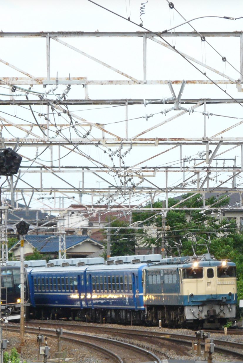 山川 4989999485981_01.jpg