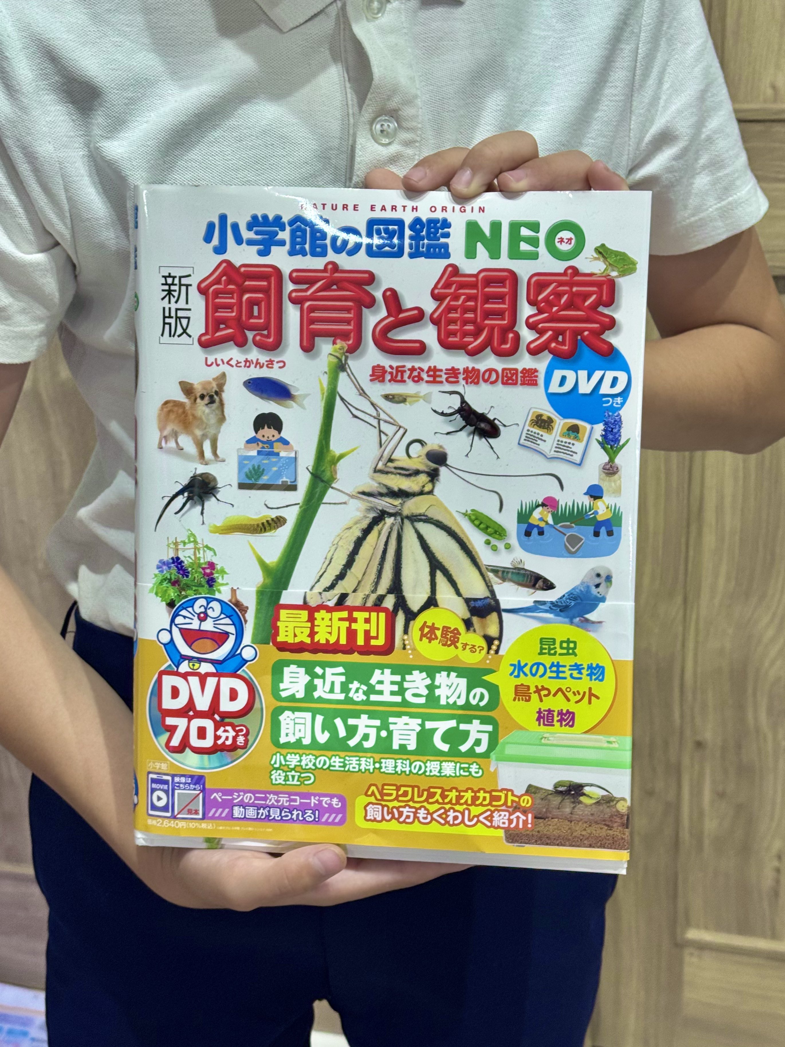 小学館図鑑NEO17冊【バラ売り不可】 小学館の図鑑NEO 17冊セット(DVDなし) - メルカリ