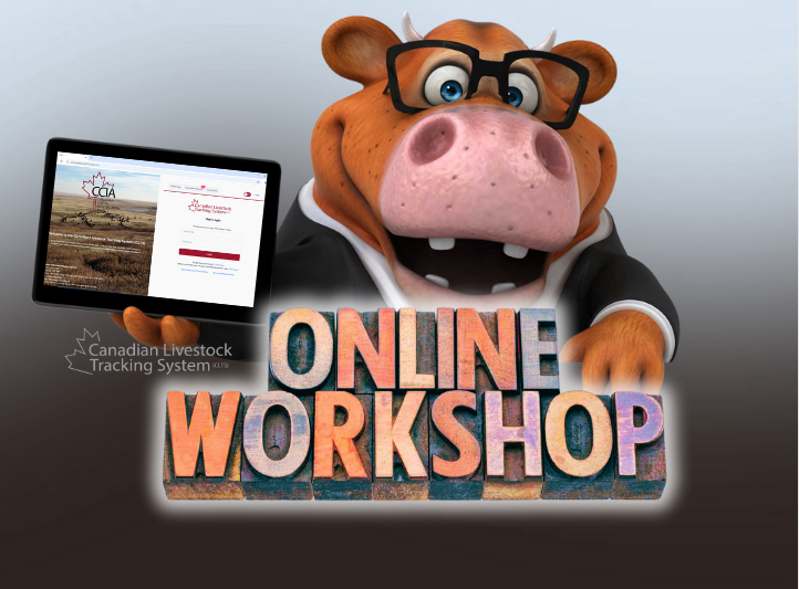 CCIA (Canadian Cattle Identification Agency) (@ccia_canada) on Twitter photo 🚨CCIA Authorized Dealers!
There's still time to register for one of our dealer-focused online training sessions!
📅 Workshop dates: Manitoba – July 22 & 24 and Saskatchewan – July 23 & 25
📧 To register: info@canadaid.ca
📞 Questions? Call us at 1-877-909-2333 🚨CCIA Authorized Dealers!
There's still time to register for one of our dealer-focused online training sessions!
📅 Workshop dates: Manitoba – July 22 & 24 and Saskatchewan – July 23 & 25
📧 To register: info@canadaid.ca
📞 Questions? Call us at 1-877-909-2333